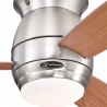 Halley nickel with light by Westinghouse