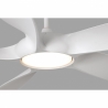 Cocos white  with DC motor and remote control by Faro