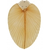 Bamboo, palm and rattan blades for Casafan ceiling fans
