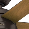 Stile Bronze with light and remote control by Hunter