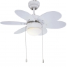 Rainbow Multi Colours ceiling fan with light by Sulion