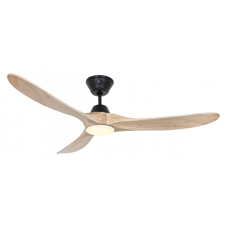ECO GENUINO 122 NT Matt Black with DC motor and LED Light by Casafan