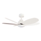 Rainbow M White with DC motor and LED light by Sulion