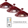 Terra Red with DC motor and light by Sulion