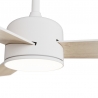 Baloo EVO L Chrome with DC motor and LED light by Sulion