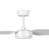 Condor Black with DC motor by Beacon