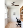 Heywood S Black Oak with DC motor and LED light by Faro