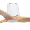 Heywood Tub 132 White Pine with DC motor  by Faro