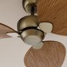 Alma S Bronze Dark Natural Outdoor DC ceiling fan from Sulion