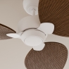 Alma L White Brown Outdoor DC ceiling fan from Sulion