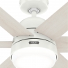 Arete White with DC motor and light by Hunter