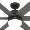 Arete Black with DC motor and light by Hunter