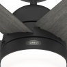 Arete Black with DC motor and light by Hunter