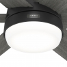 Arete Black with DC motor and light by Hunter