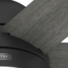Arete Black with DC motor and light by Hunter