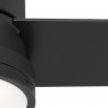 Greenville Black with light and remote control by Hunter