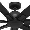 Sahira Black with DC motor by Hunter