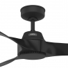 Canberra Black with DC motor by Hunter