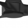 Canberra Black with DC motor by Hunter