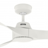 Canberra White with DC motor by Hunter