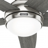 Bernard Chrome Gray with light and remote control by Hunter