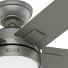 Zeal Matt Gray with light and remote control by Hunter