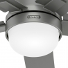 Zeal Matt Gray with light and remote control by Hunter