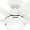 Zeal White with light and remote control by Hunter