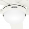 Zeal White with light and remote control by Hunter