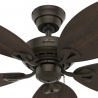 Bayview Bronze by Hunter