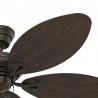 Bayview Bronze by Hunter