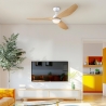 Magnolia White with DC motor and LED light by Westinghouse