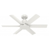 Kennicott White with wall control by Hunter
