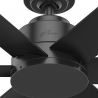 Kennicott Matt Black with wall control by Hunter