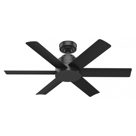 Kennicott Matt Black with wall control by Hunter