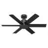 Kennicott Matt Black with wall control by Hunter