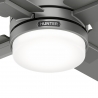 Mila Matt Gray with DC motor and LED light by Hunter