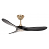 ECO GENUINO 122 MG MS Brushed Brass Black with DC motor and remote control by Casafan