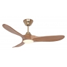 ECO GENUINO L 122 MG EM Brushed Brass Oak with DC motor and LED Light by Casafan