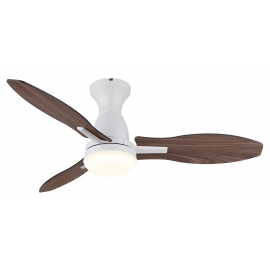 Gale White with DC motor and  LED light by Globo