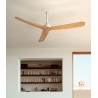 Recessed Faro Ceiling fan system