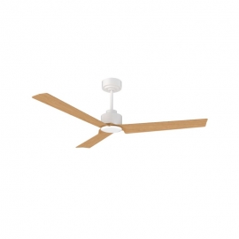 Anne White / Beech with DC motor by Sulion