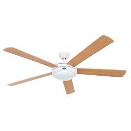 Titanium 162 White Pine / Beech with light and remote control by Casafan